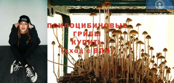 стафф Алзамай
