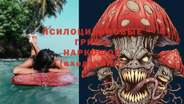 дурь Алексеевка